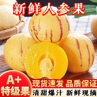 【不黄包赔】云南石林树上熟人参果即食新鲜低糖水果黄肉果大圆果