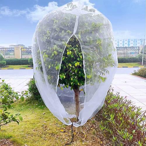 植物束口防虫网袋 花园网覆盖网 果树花卉防虫网防苍蝇防鸟网罩