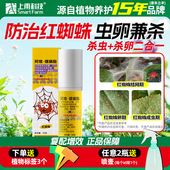 花卉绿植红蜘蛛专杀杀虫剂阿维螺螨酯螺螨脂多肉月季