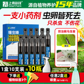 上甫30%噻虫嗪家用花卉杀虫剂绿植月季 药剂黑飞红蜘蛛通用杀虫剂