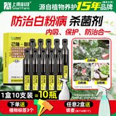 家用杀虫药花卉杀菌剂上甫科技30%己唑醚菌酯玫瑰多肉盆栽白粉病