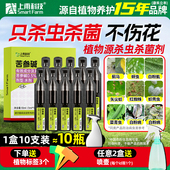 上甫0.5%苦参碱花卉药剂红蜘蛛蓟马青虫白粉虱果蔬植物家用杀虫剂