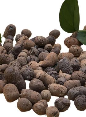 生物岩页陶粒TWV建筑粒陶卫生间回填城乡污水滤过除磷用陶粒滤料