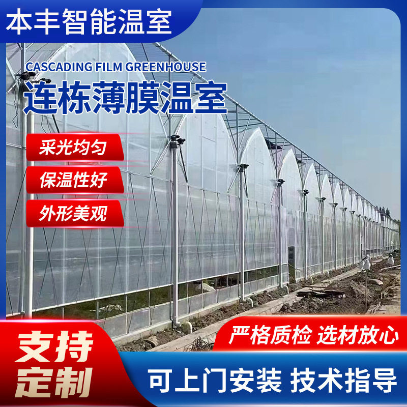 透明圆拱连栋薄膜温室大棚