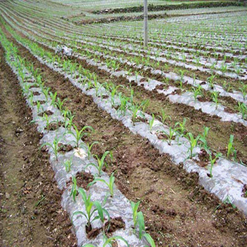 现农地612膜机器设备厂地膜机械三层家共挤地农膜机农地膜货生产,五金/工具,吹膜机,淘宝优惠券,粉丝福利购,淘宝优惠卷