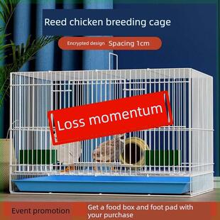 养芦丁鸡笼子家用室内加密养殖笼幼鸡小鸡小鸭子专用笼可折叠铁笼