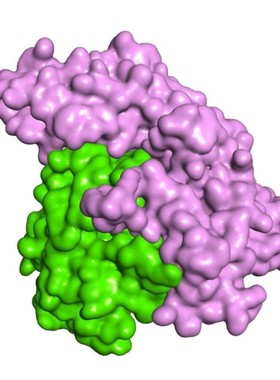 modeller 同源建模 aphafold 蛋白结构预测