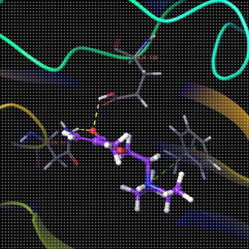 清北博士团队虚拟筛选/分子对接/蛋白互作/网络药理学/多肽对接