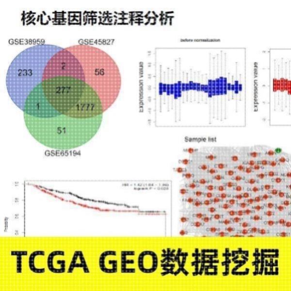 生信分析实验外包测序分析火山图绘制MR分析数据库挖掘科研