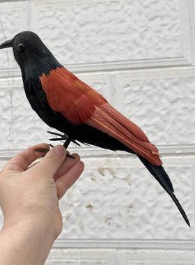 彷真羽毛红毛鸡假媒园林装饰假鸟工艺品摆饰摄影道具教学动物模型