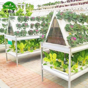 仿生立柱式无土栽培设备 气雾栽培设备 植物喷雾式无土栽培设备