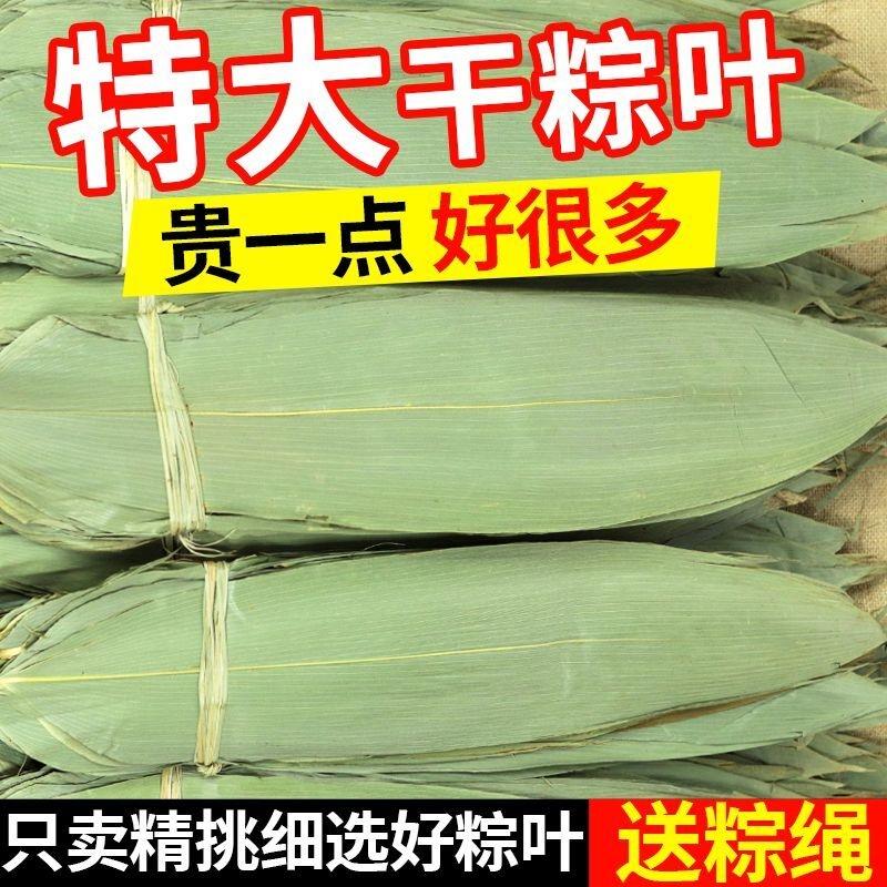 【特大】干粽叶大宽叶家用端午包粽子专用纯天然野生正宗包邮