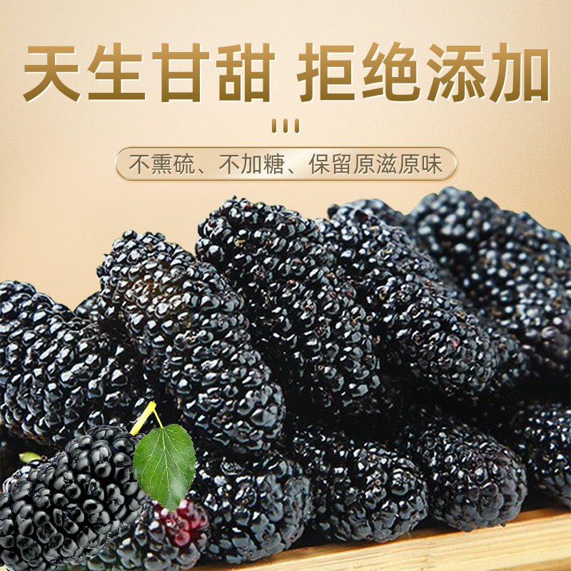 免洗桑葚干新疆桑甚即食无沙桑椹茶黑桑葚特级泡茶泡酒250g