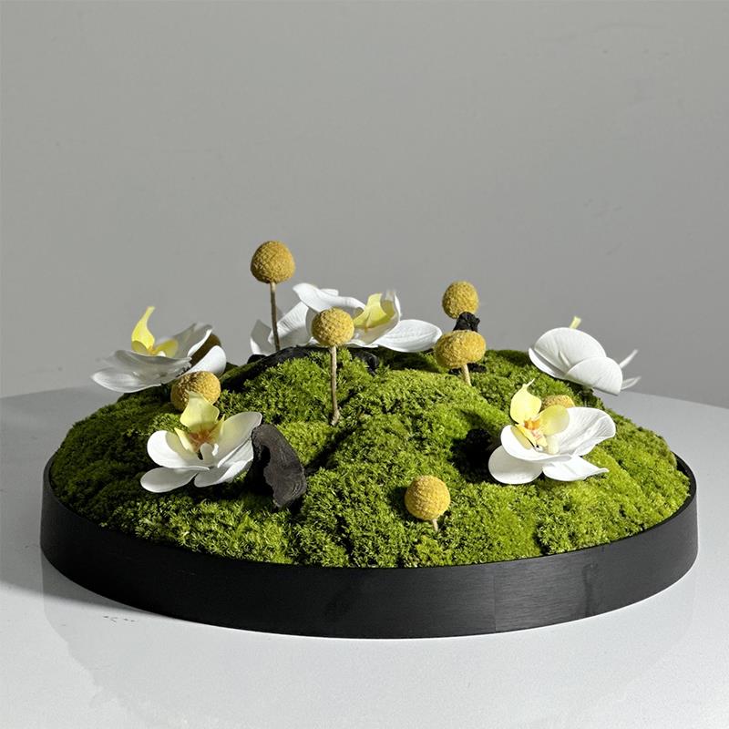新中式餐桌花苔藓造景酒店大圆桌装饰永生绿植花艺蝴蝶兰桌面摆件