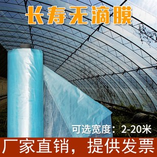 20米宽加厚蔬菜大棚膜长寿流滴膜蓝色无滴膜塑料薄膜纸整卷 2米