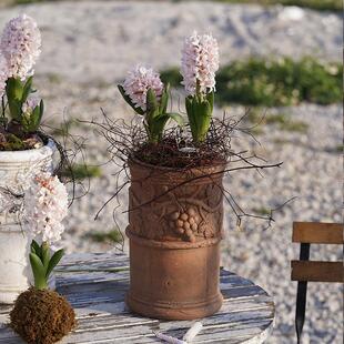粗陶花盆轻奢高级感家用兰花绿萝创意浮雕陶瓷复古养花红陶土花盆