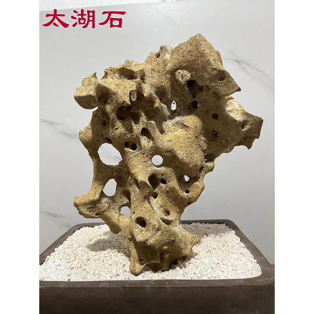太湖石 假山盆景石头小摆件鱼缸造景附石观赏石天然石材原石抱石