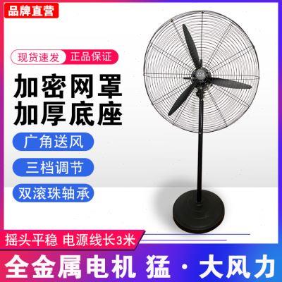 工业风扇牛角500/650/750大功率强力大风壁挂优质电机头落地扇
