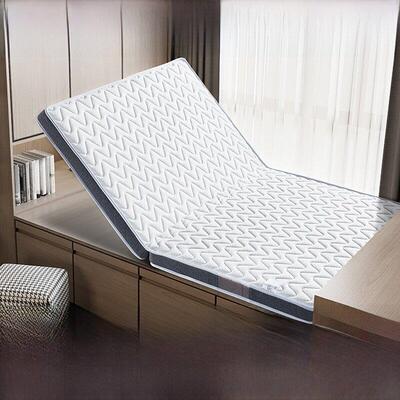 sealy美国丝涟天然椰棕床垫子加硬护脊儿童棕垫软乳胶家用可折叠