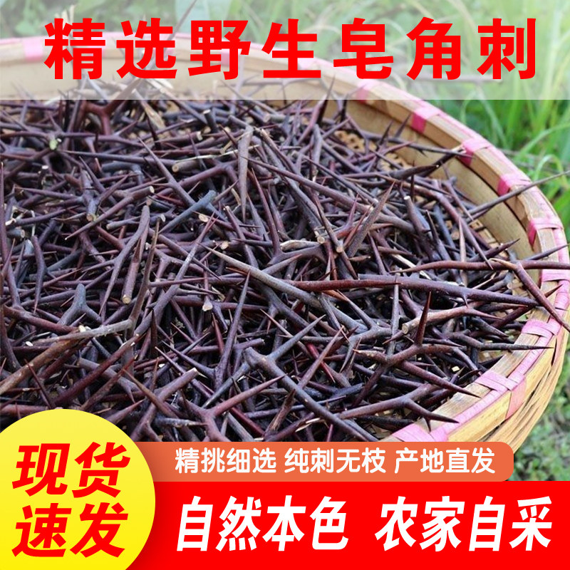 皂角刺野生皂刺新货干皂荚刺天钉大刺纯刺棍刺无树枝泡酒
