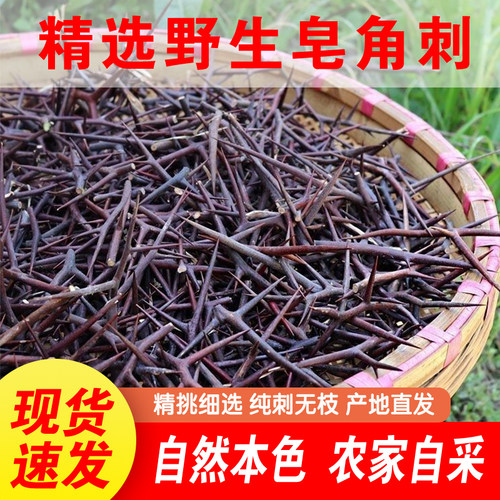 皂角刺野生皂刺新货中药材干皂荚刺天钉大刺纯刺棍刺无树枝泡酒