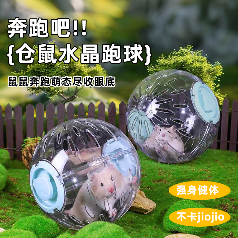 仓鼠跑球跑轮滚轮静音运动球