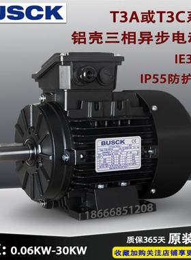 挪威BUSCK电机T3A J2 T4A系列MS80三相异步铝壳电动机600W至45KW