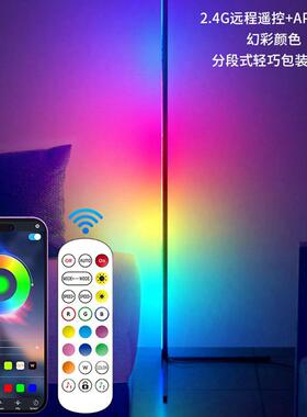 幻彩落地灯2024LED Floor Lamp 1.5米2.4G外置灯带彩灯珠调光