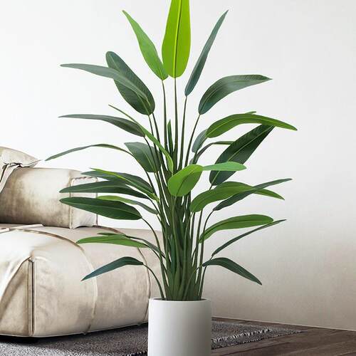 仿真绿植鹤望兰盆栽仿生假植物落地室内家居客厅装饰摆件