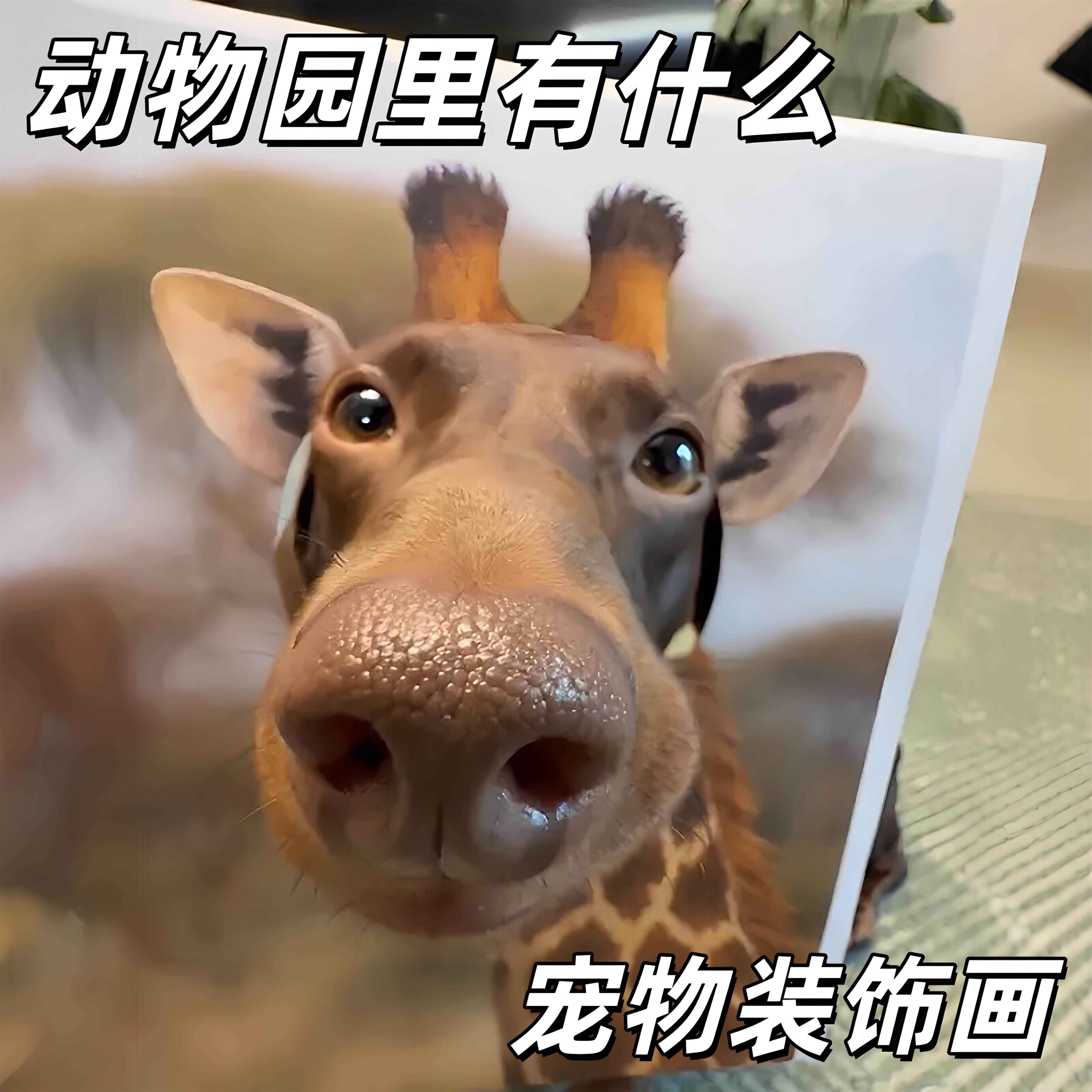 【动物园里有什么】腊肠狗cos宠物装饰画纸拍照道具搞笑造型装扮