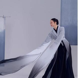 古典练功表演2 古典舞演出服飘逸舞蹈服装 水袖 舞蹈服水墨舞蹈新款