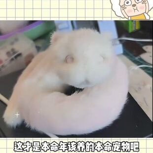 羽化蛇抖音同款羽化蛇小白蛇玩偶毛绒新年礼物闺蜜小蛇跨年礼物蛇