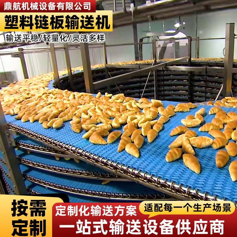 水果纸箱包裹输送机传输机面包披萨烘培食品输送带塑料链板输送机