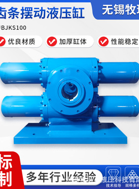 双齿条摆动油缸 双齿条摆动液压缸 双齿轮旋转缸 U BJKS100任意角
