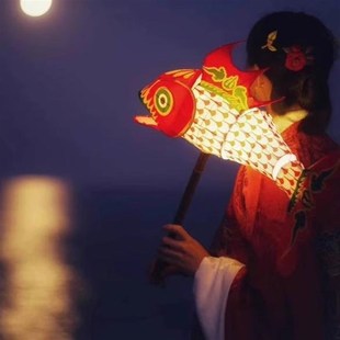 中国科举博物馆文创秦淮花灯非遗鱼灯新年春节灯笼古风汉服