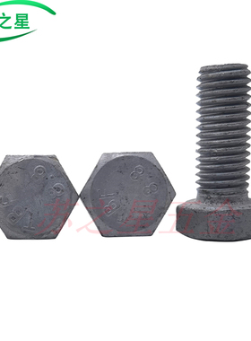 8.8级热镀锌外六角螺丝高强度t热浸锌z螺栓光伏M8M10M12M16M18M20