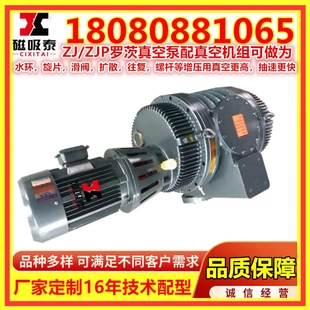 ZJ成套机组防爆耐腐增压工业机械使用 深圳市ZJB罗茨真空泵