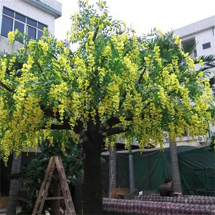 时尚常青豆花树婚礼酒店装饰摆设装饰树园林景观工程树优质豆花树