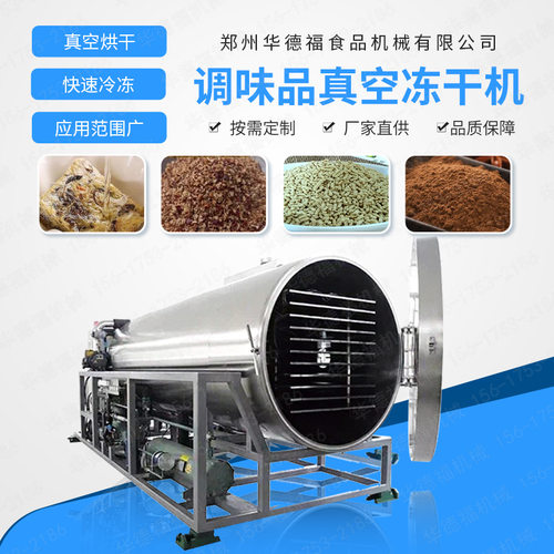 智能真空冻干机 葱姜蒜真空冷冻设备 调味品配料干燥机 厂家直供