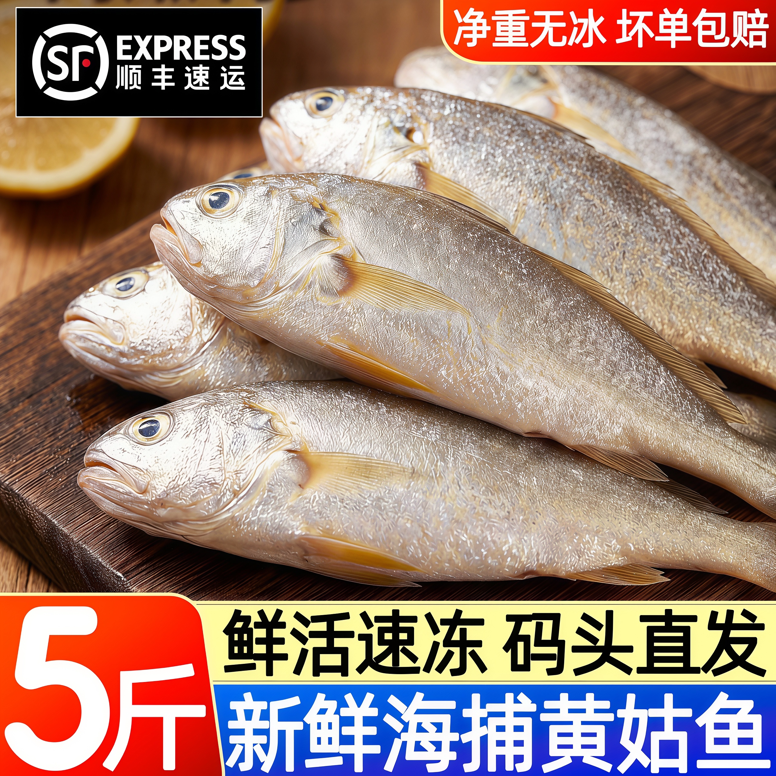 新鲜冷冻黄姑鱼冰鲜春子鱼顺丰