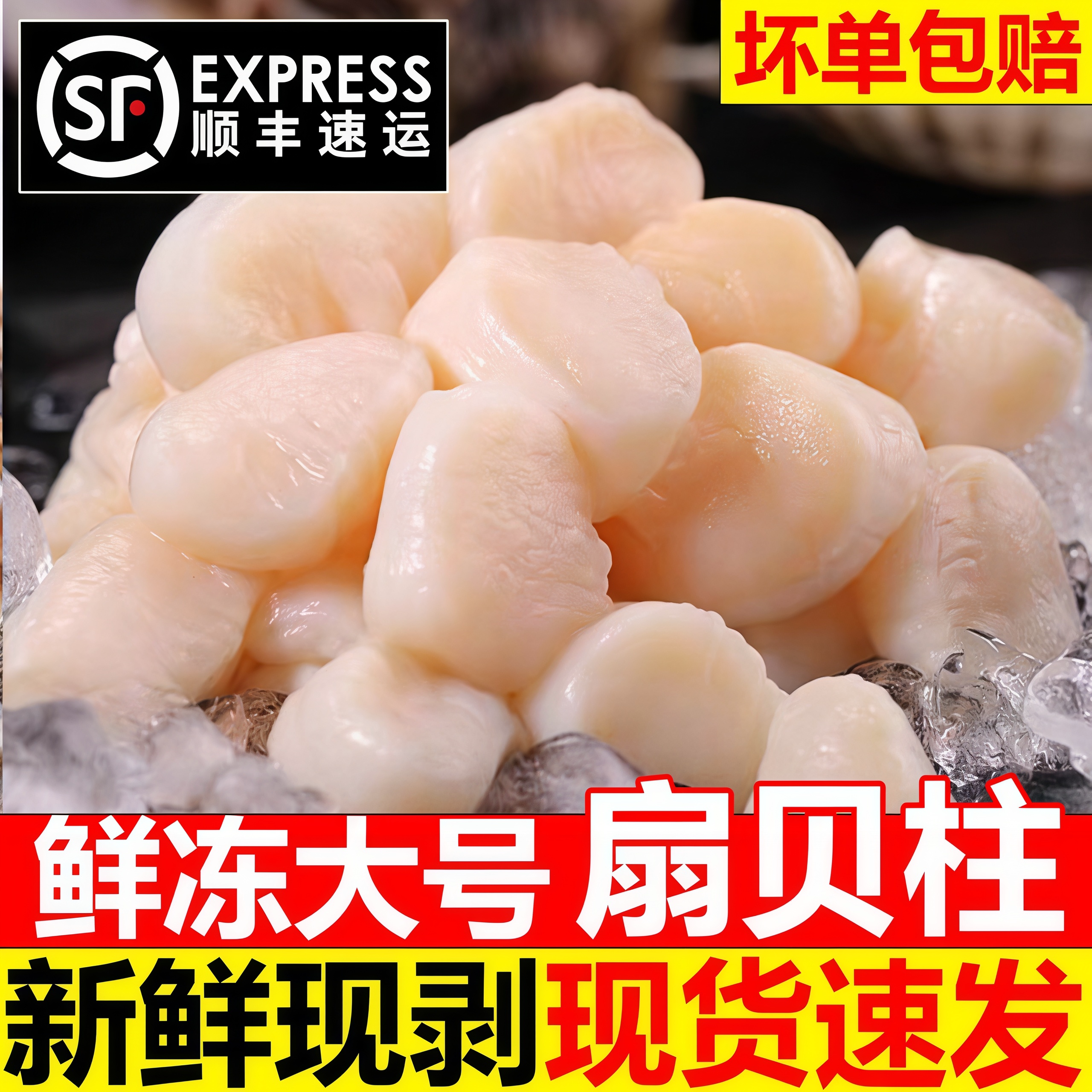 现剥新鲜瑶柱贝柱刺身煲汤顺丰