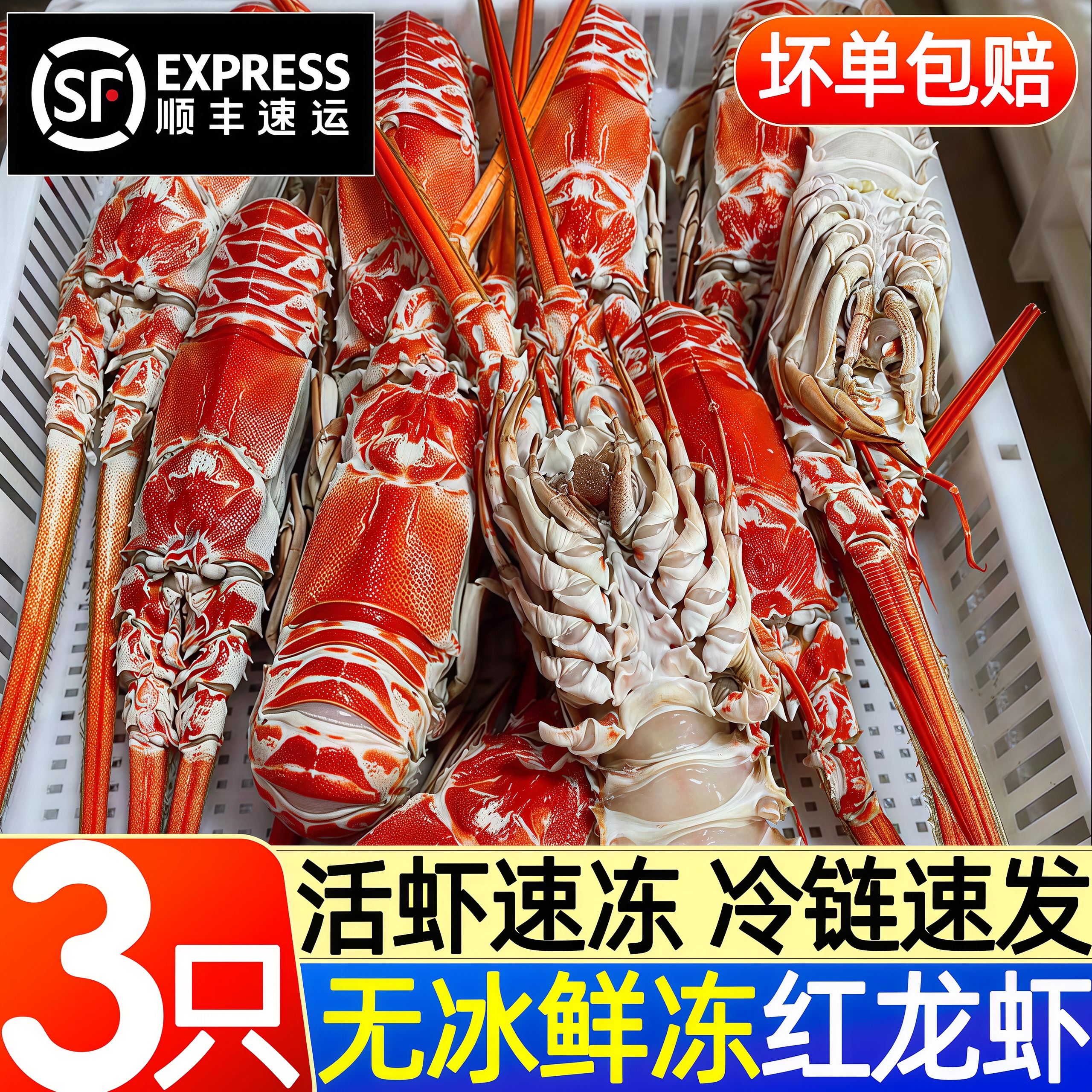 红龙虾鲜活冷冻海捕小青龙商用