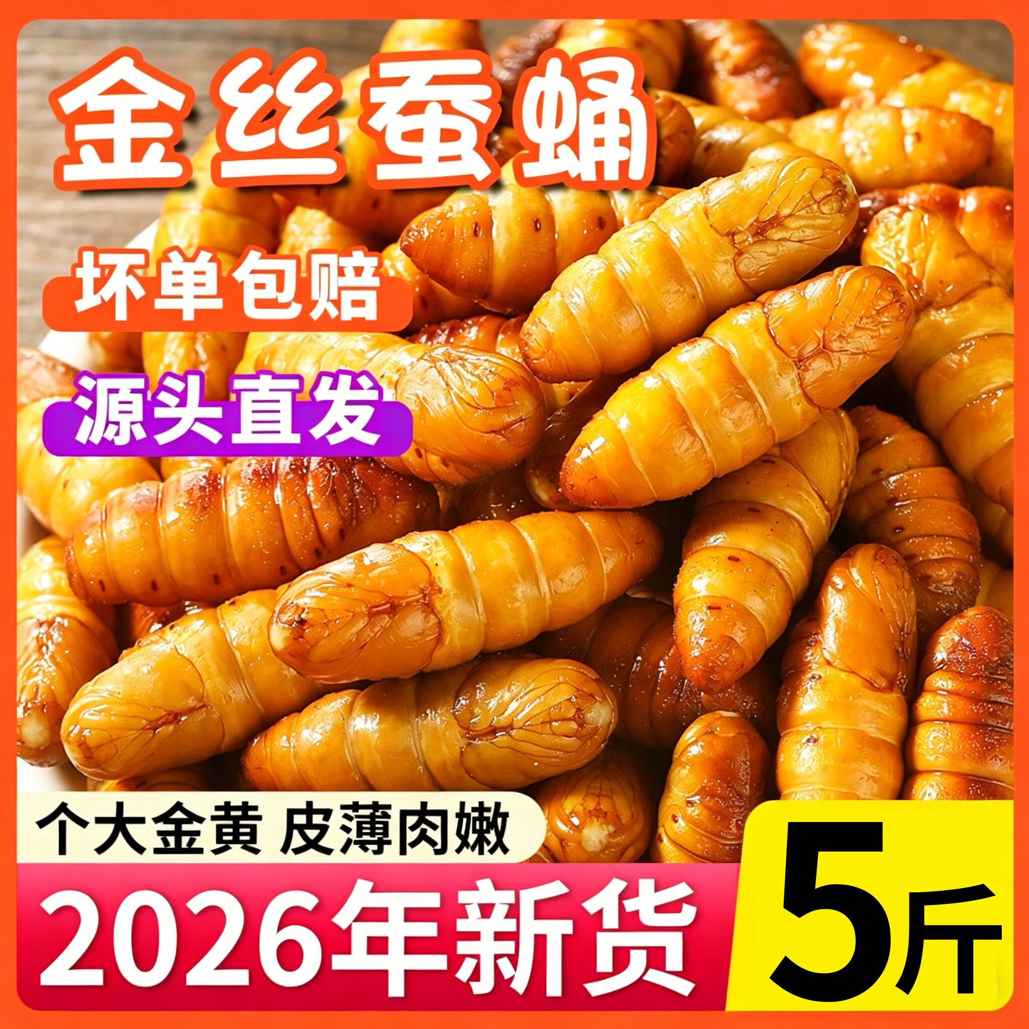 金丝蚕蛹鲜活新鲜冷冻无盐山东特产黄金蝉蛹油炸小桑蚕蛹商用烧烤