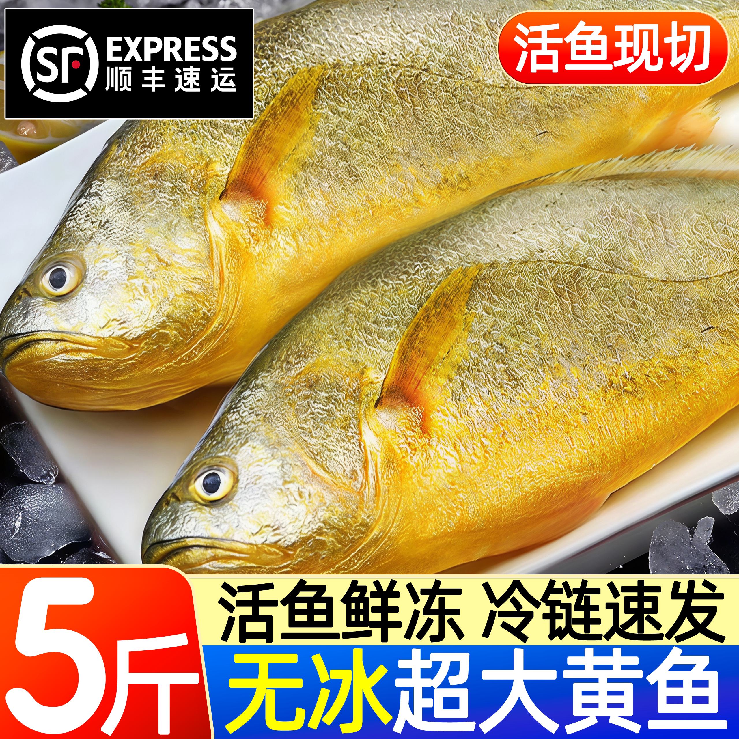 大黄花鱼新鲜冷冻黄花鱼商用顺丰