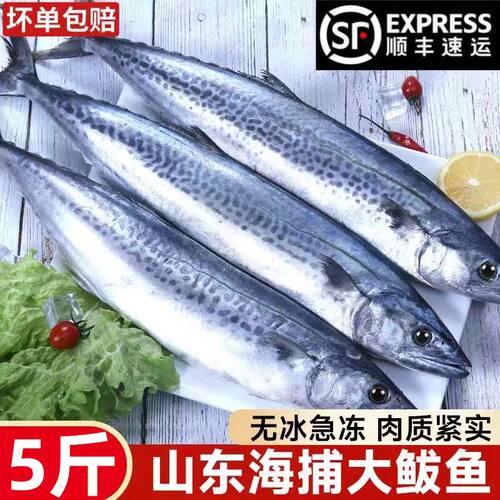 青岛大鲅鱼燕鲅新鲜冷冻整箱顺丰