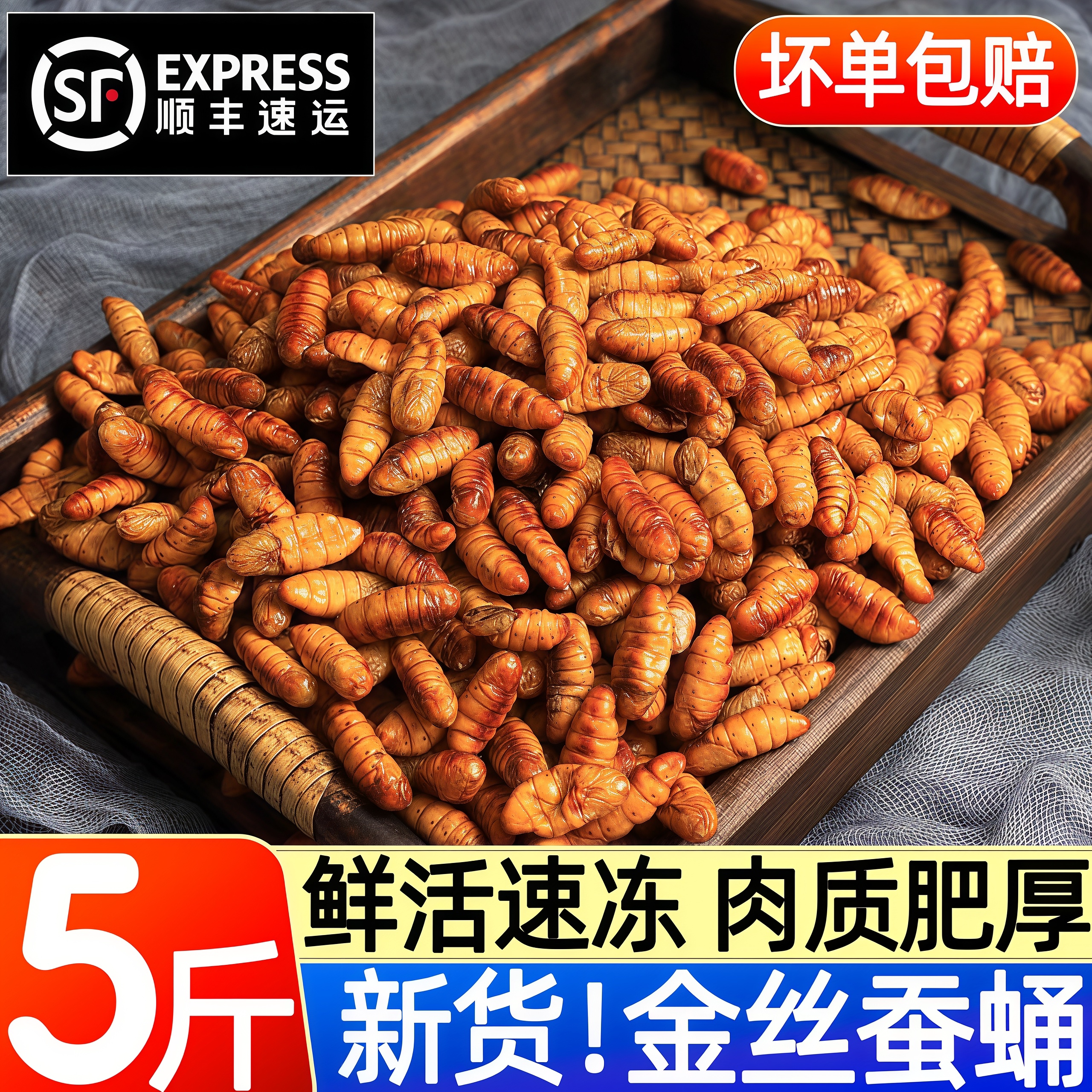 山东特产金丝蚕蛹无盐冷冻烧烤