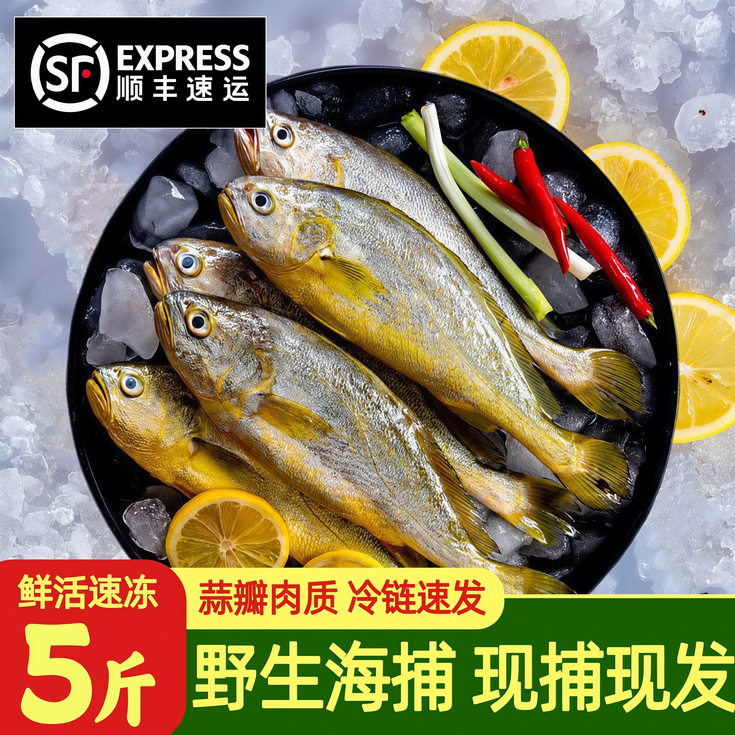 新货小黄花鱼去冰5斤冷冻批发