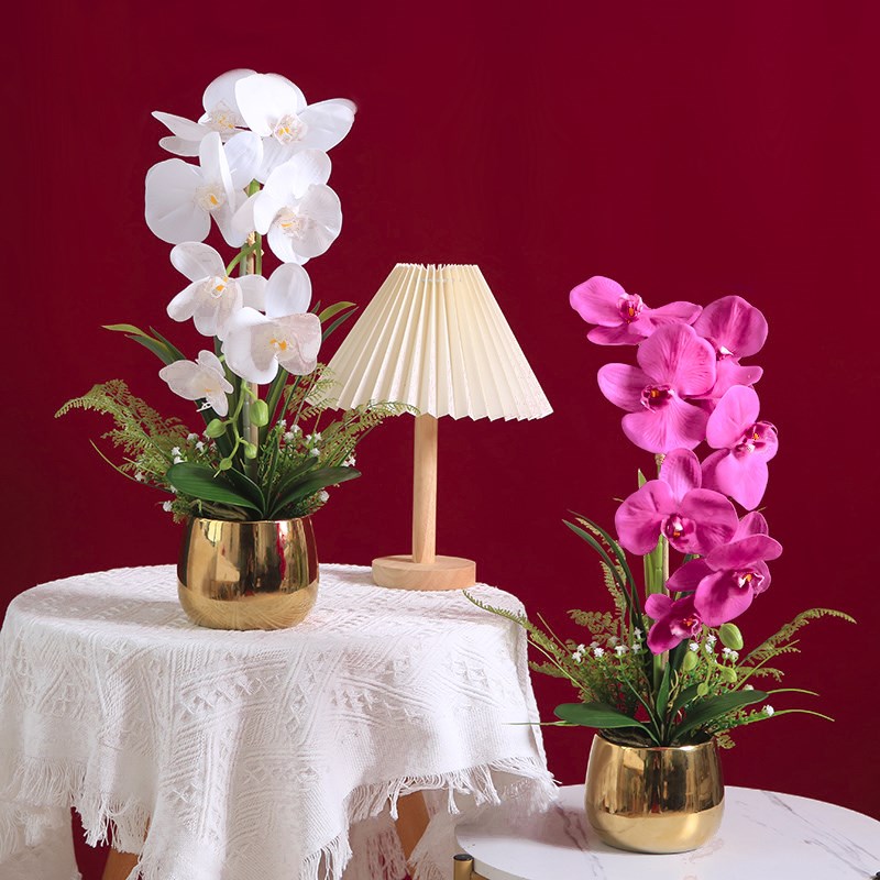 轻奢高端仿真蝴蝶兰盆栽假花植物盆景客厅摆件电视柜餐桌装饰摆设