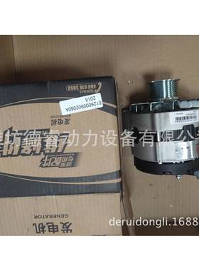 61260090206DA潍柴WD160/WP100/WD12发电6机612000612600099020D