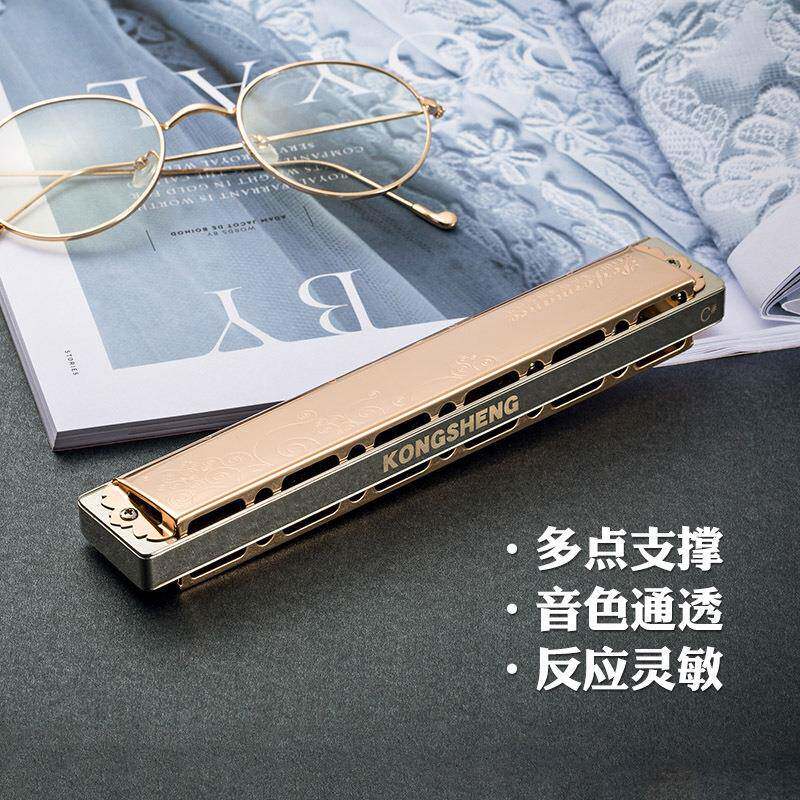 声孔复音口琴孔全金爱属琴#格ABCRBUDEFG琴乐器音乐好玫瑰金铜格